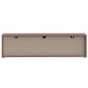 TV komoda ALICE SPRINGS 131 (terakota, 154x35x41,5) TV komoda ALICE SPRINGS 131 (terakota, 154x35x41,5)