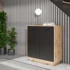 Komoda ANTUZA 221 (hrast + siva, 83x34x88)