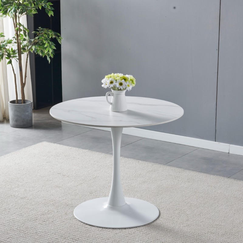 Miza INTERLAKEN 1 (bel marmor, mat)