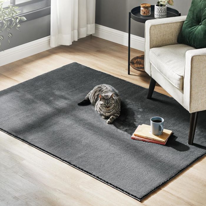 SONGMICS Preproga, 120 x170 cm SONGMICS Preproga, 120 x170 cm