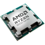 AMD Ryzen 5 9600X procesor AM5