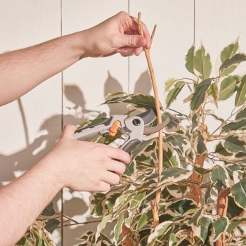 VonHaus set za obrezovanje VonHaus set za obrezovanje