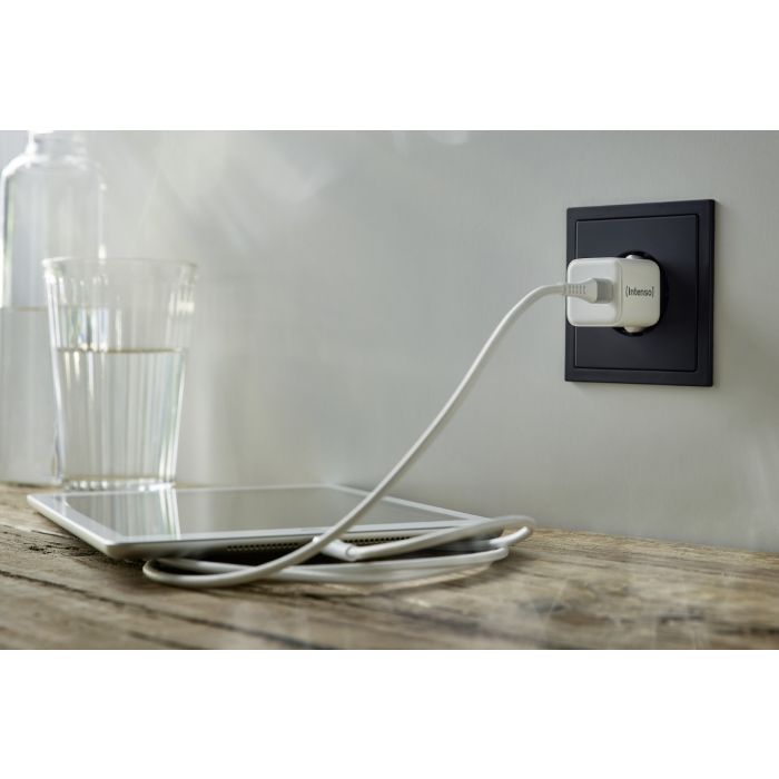 Intenso 30W GaN napajalnik s priključkom USB-C W30C Intenso 30W GaN napajalnik s priključkom USB-C W30C