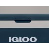 IGLOO Termo električna hladilna skrinja  ICF60  12/24/230v - 59l