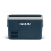 IGLOO Termo električna hladilna skrinja  ICF60  12/24/230v - 59l