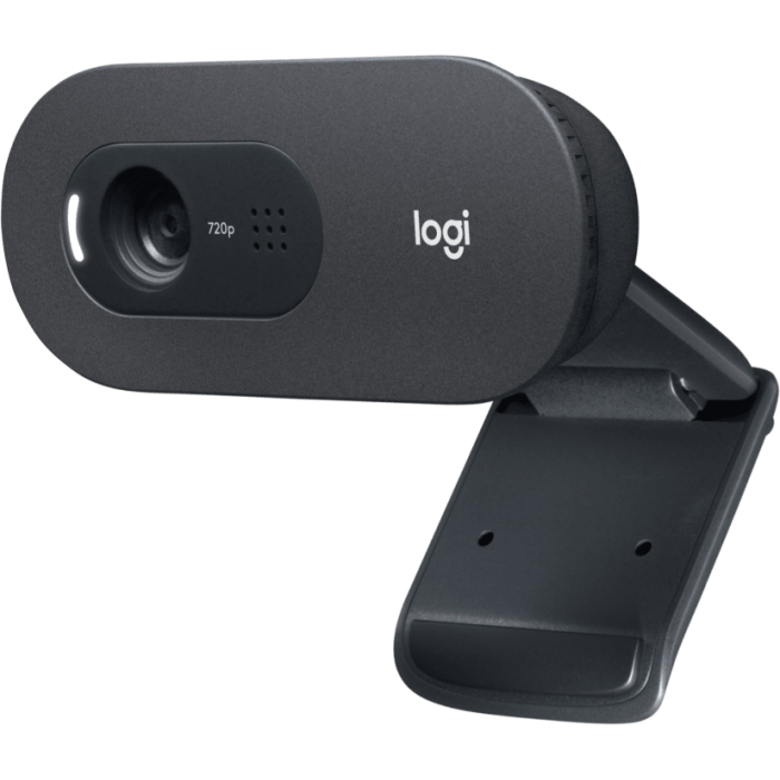 Logitech C505e HD spletna kamera Logitech C505e HD spletna kamera