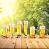 BRUNNER Komplet 2 kozarcev za pivo BEERGLASS SPECIAL 0830173N.C71 BRUNNER Komplet 2 kozarcev za pivo BEERGLASS SPECIAL 0830173N.C71