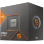 AMD Ryzen 5 8600G procesor AM5