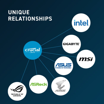 Crucial 8GB DDR5-5600 PC5-44800 UDIMM CL46, 1.1V