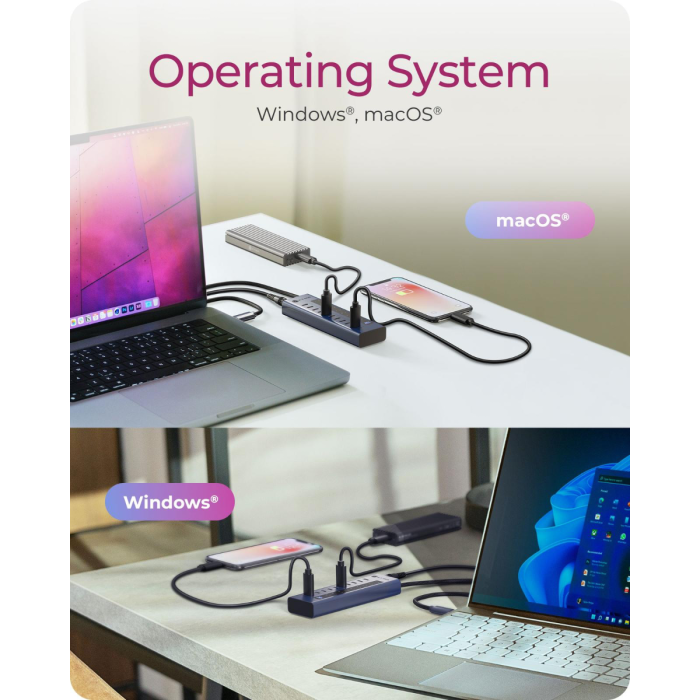 IcyBox IB-HUB1450-C31 10-portni hub vmesnik USB-C 3.2