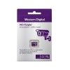 SanDisk 1TB WD Purple QD101 SC Ultra Endurance Class 10 UHS 1(U1) microSDXC kartica SANDISK SanDisk 1TB WD Purple QD101 SC Ultra Endurance Class 10 UHS 1(U1) microSDXC kartica