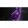 SanDisk 1TB WD Purple QD101 SC Ultra Endurance Class 10 UHS 1(U1) microSDXC kartica SANDISK SanDisk 1TB WD Purple QD101 SC Ultra Endurance Class 10 UHS 1(U1) microSDXC kartica