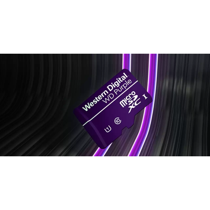 SanDisk 1TB WD Purple QD101 SC Ultra Endurance Class 10 UHS 1(U1) microSDXC kartica SANDISK SanDisk 1TB WD Purple QD101 SC Ultra Endurance Class 10 UHS 1(U1) microSDXC kartica