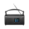 Sandberg Survivor DAB Radio All-in-1 20000 radijski sprejemnik za preživetje