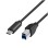 Kabel USB-C => USB B 3.2 Gen1x1 A 1,00m Logilink - črn (CU0162) EOLS-P