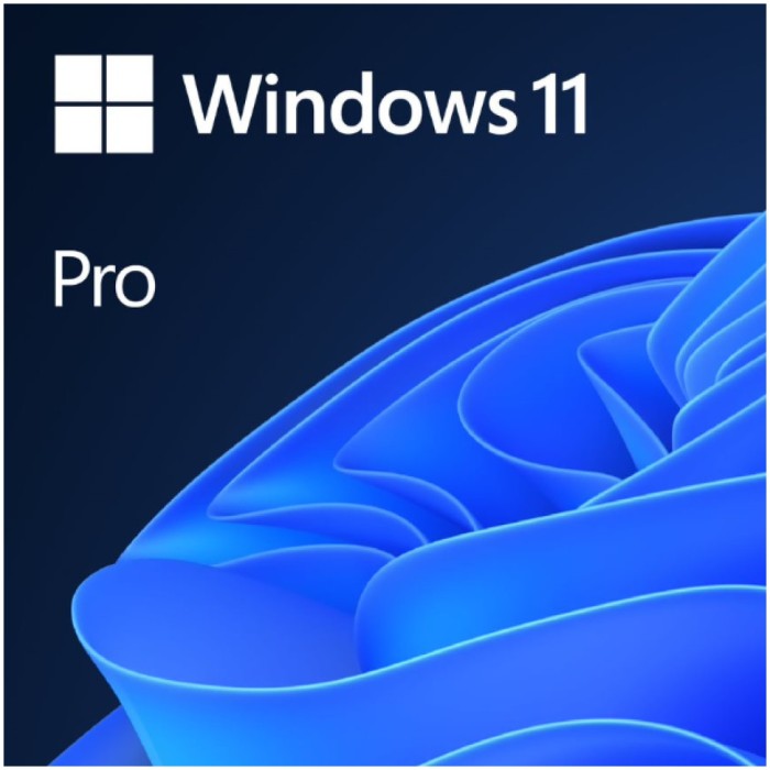 DSP Windows 11 Pro - 64bit ENG/SLO/DE international  DVD Microsoft (FQC-10528)