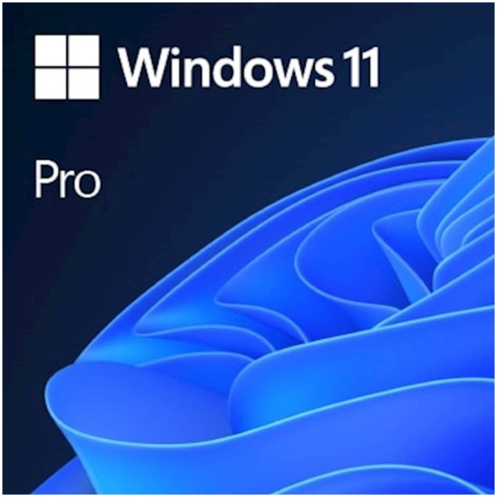 DSP Windows 11 Pro - 64bit SLO DVD Microsoft (dovoljena uporaba ostalih jezikovnih različic EN/DE in ostalih) - FQC-10551