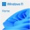 DSP Windows 11 Home - 64bit ENG/SLO DVD Microsoft (KW9-00632)
