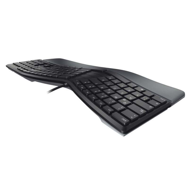 Tipkovnica Cherry USB ergonomska KC 4500 ERGO US international Ergonomska črna SLO gravura (JK-4500GB-2) Cherry Tipkovnica Cherry USB ergonomska KC 4500 ERGO US international Ergonomska črna SLO gravura (JK-4500GB-2)