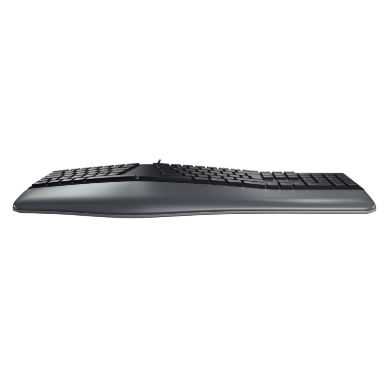 Tipkovnica Cherry USB ergonomska KC 4500 ERGO US international Ergonomska črna SLO gravura (JK-4500GB-2) Cherry Tipkovnica Cherry USB ergonomska KC 4500 ERGO US international Ergonomska črna SLO gravura (JK-4500GB-2)