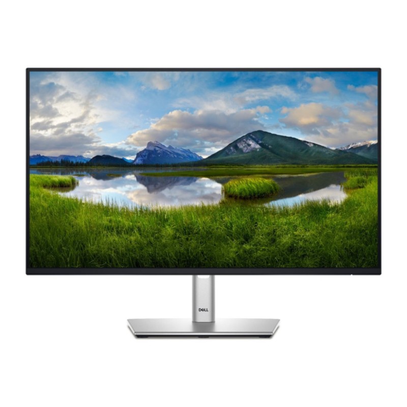 Monitor Dell 60,5 cm (23,8) P2425H 1920x1080 100Hz IPS 5ms VGA HDMI DisplayPort 15W 3xUSB3.2 USB-C-Out Pivot  3H sRGB99%