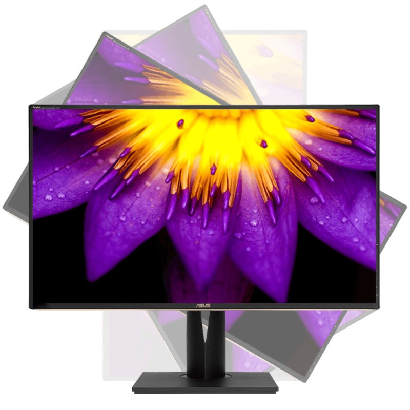 Monitor Asus 81,3 cm (32,0) PA329C 3840x2160 Profesionalna IPS 5ms 3xHDMI DisplayPort USB-C 60W 5xUSB3.0 Pivot Zvočniki 6H sRGB100% HDR600 ProArt HW Kalibracija ASUS Monitor Asus 81,3 cm (32,0) PA329C 3840x2160 Profesionalna IPS 5ms 3xHDMI DisplayPort USB-C 60W 5xUSB3.0 Pivot Zvočniki 6H sRGB100% HDR600 ProArt HW Kalibracija