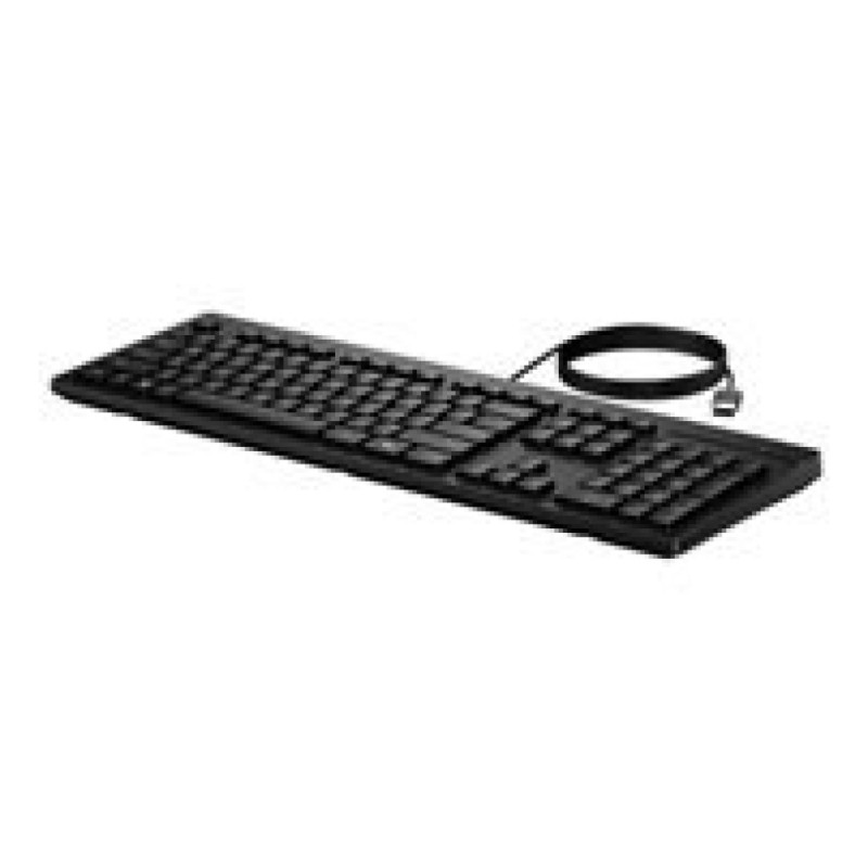 Tipkovnica USB HP 125-G2 SLO | Slovenski nabor znakov črna (AY2Y7AA#BED) HP Tipkovnica USB HP 125-G2 SLO | Slovenski nabor znakov črna (AY2Y7AA#BED)