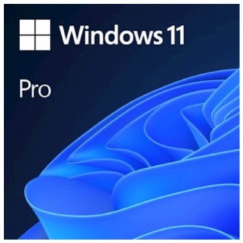 FPP Windows 11 Pro - 64bit SLO USB Microsoft