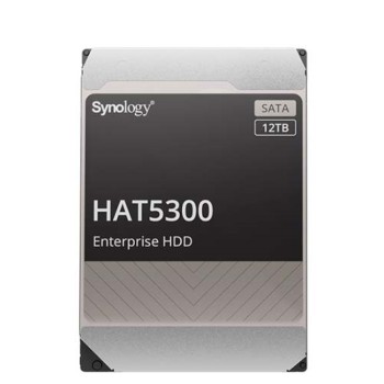 Trdi disk 12TB Synology HAT5300 256MB (HAT5300-12T)