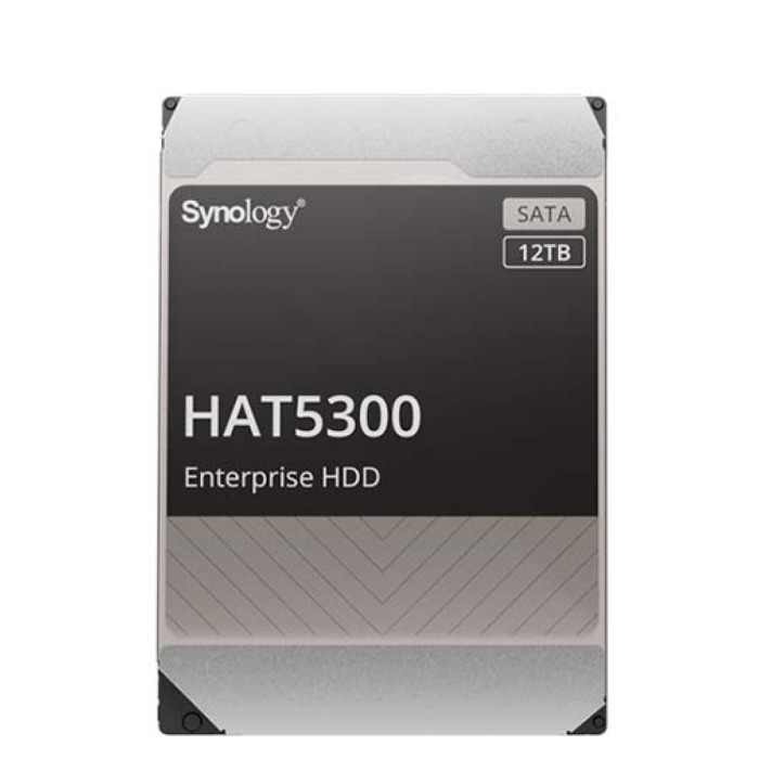 Trdi disk 12TB Synology HAT5300 256MB (HAT5300-12T)