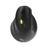 Miš brezžična + Bluetooth ergonomska Port Ergo 2400DPI za levičarje 5 gumbov črna (910008) Port Miš brezžična + Bluetooth ergonomska Port Ergo 2400DPI za levičarje 5 gumbov črna (910008)
