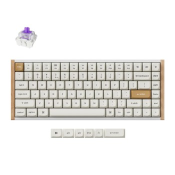 Tipkovnica brezžična Keychron K2 HE nebula mag stikala UK | bela Special edition RGB (K2H-Q1-UK) Tipkovnica brezžična Keychron K2 HE nebula mag stikala UK | bela Special edition RGB (K2H-Q1-UK)