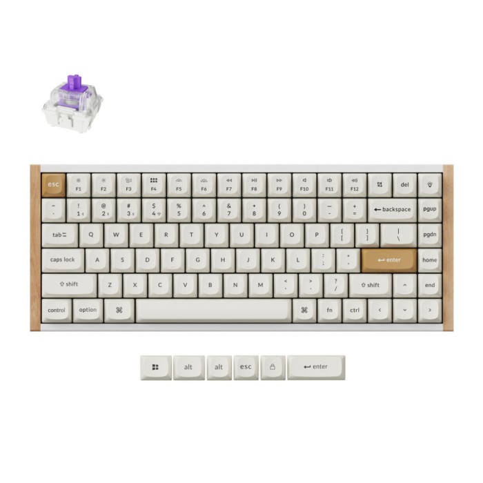 Tipkovnica brezžična Keychron K2 HE nebula mag stikala UK | bela Special edition RGB (K2H-Q1-UK) Tipkovnica brezžična Keychron K2 HE nebula mag stikala UK | bela Special edition RGB (K2H-Q1-UK)