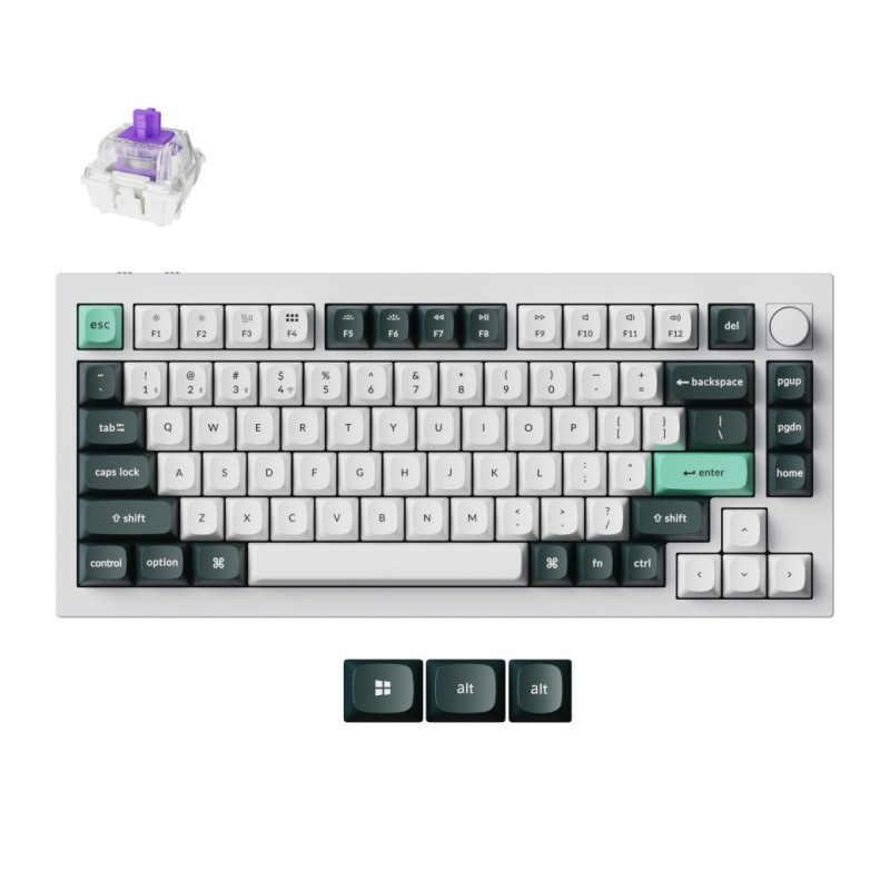 Mehanska Tipkovnica brezžična Keychron Q1 HE nebula mag stikala UK | bela RGB (Q1H-P1-UK) Keychron Mehanska Tipkovnica brezžična Keychron Q1 HE nebula mag stikala UK | bela RGB (Q1H-P1-UK)