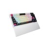 Gaming Tipkovnica brezžična Bluetooth USB-C/A Asus ROG Azoth X NX Snow V2 OLED US | črno-bela RGB (90MP044F-BKUA30) ASUS Gaming Tipkovnica brezžična Bluetooth USB-C/A Asus ROG Azoth X NX Snow V2 OLED US | črno-bela RGB (90MP044F-BKUA30)