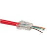 RJ45 konektor CAT. 6 UTP Pass-Through 50 kosov Logilink (MP0027) LOGILINK RJ45 konektor CAT. 6 UTP Pass-Through 50 kosov Logilink (MP0027)
